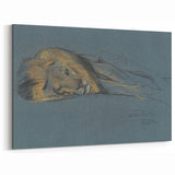 Vintage Animal Art - Resting Lion Antique Wildlife Sketch