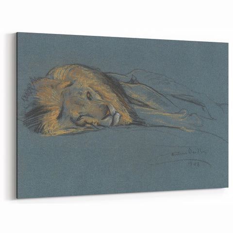 Vintage Animal Art - Resting Lion Antique Wildlife Sketch