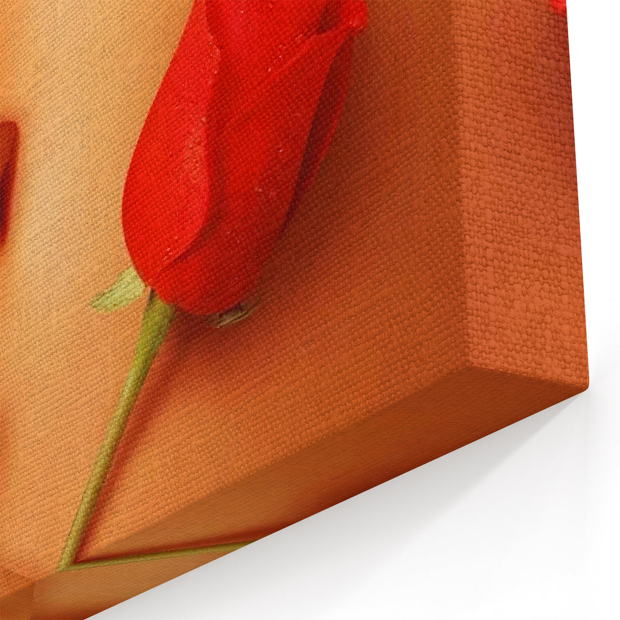 1990s Vintage Movie Poster – American Beauty Classic 90s Film Art