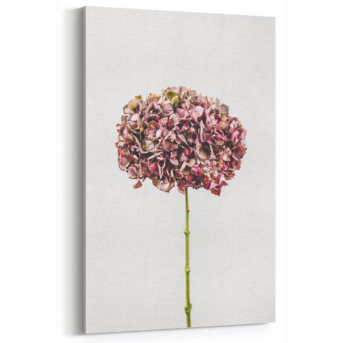 Minimalist Spring Wall Art - Dried Hydrangea Floral Canvas Print