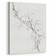 Vintage Botanical Art Prints – Delicate Branch Pencil Drawing