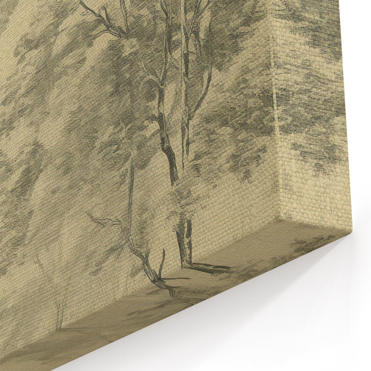 Vintage Botanical Art Prints – Scenic Tree Landscape Drawing
