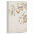 Vintage Botanical Art Prints – Apple Branch Pencil Drawing