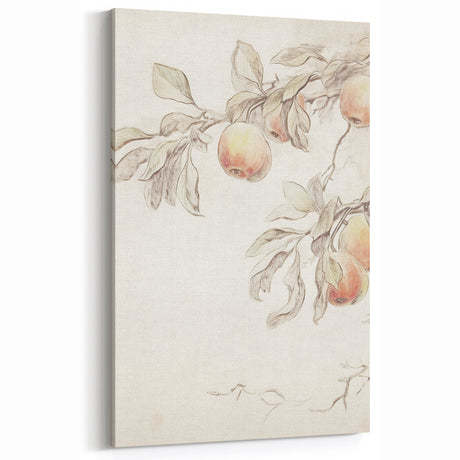 Vintage Botanical Art Prints – Apple Branch Pencil Drawing