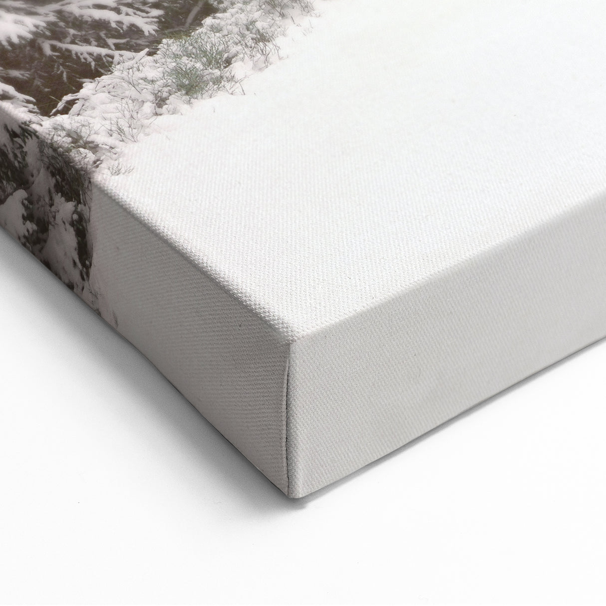 Snowy Forest Path - Winter Wonderland Wall Art Winter Canvas Print