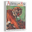 Vintage Magazine Cover Art - American Boy September 1930 Tiger Teaches