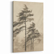 Vintage Botanical Art Print: Soft Tree Sketch Illustration
