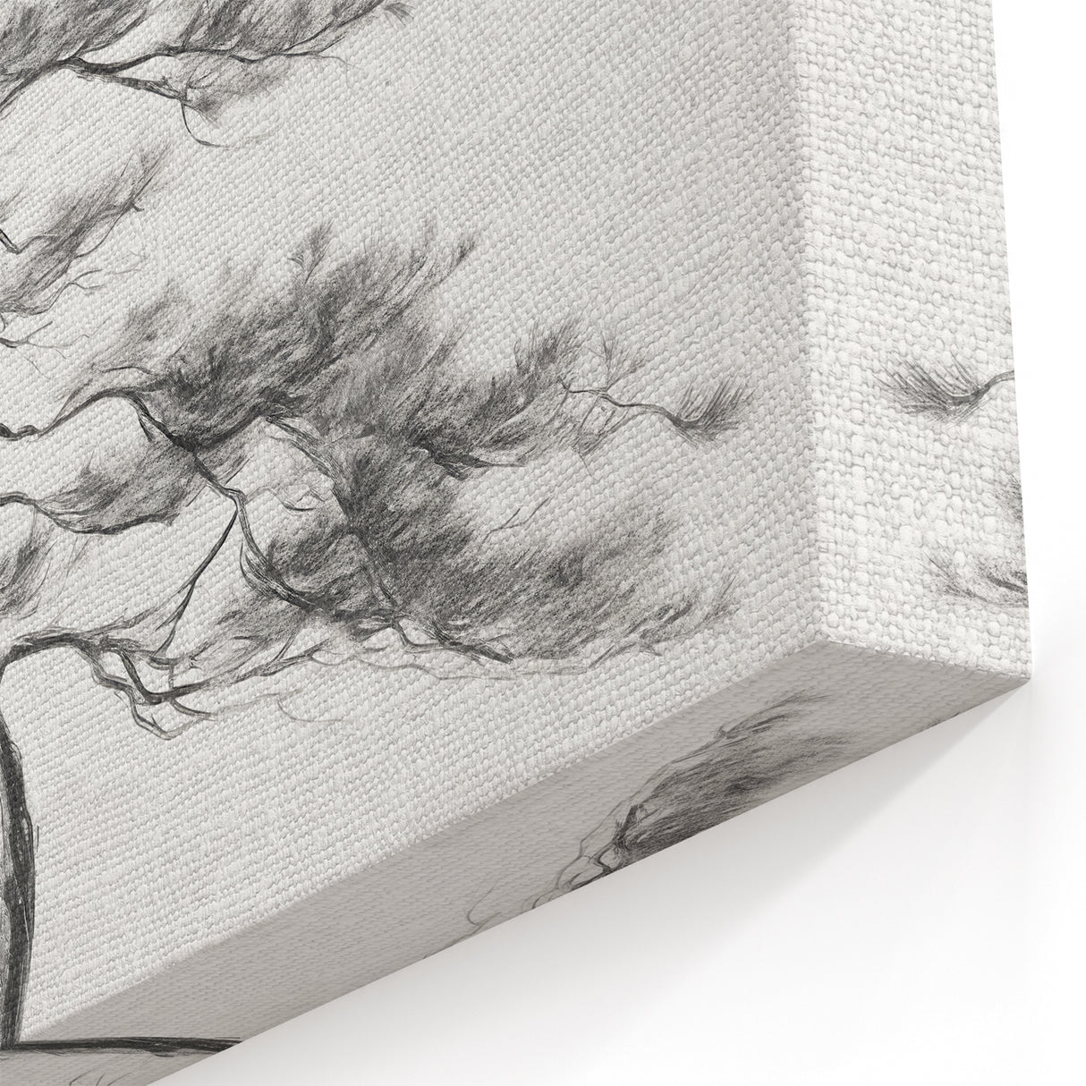 Vintage Botanical Art Print: Elegant Tree Sketch Illustration