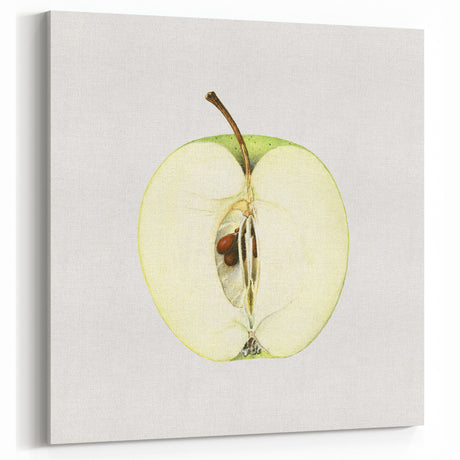 Green Apple Fruit Art Prints – Vintage Kitchen Wall Decor