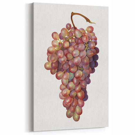 Grape Fruit Photography Art – Vintage Kitchen Wall Decor