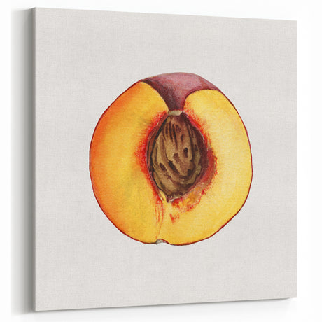 Peach Fruit Art Prints – Vintage Botanical Kitchen Wall Decor