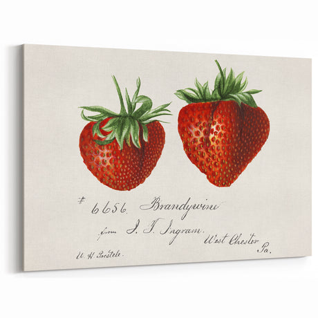 Kitchen Fruit Decor – Vintage Strawberry Botanical Wall Art