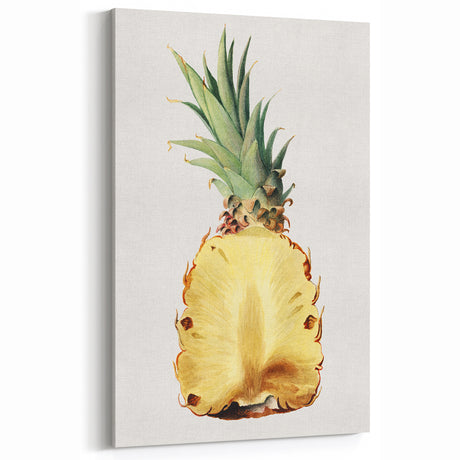 Fruit Botanical Prints – Vintage Pineapple Wall Art for Kitchen