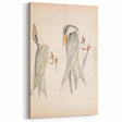 Vintage Animal Art – Waved Tern Illustration Wall Print