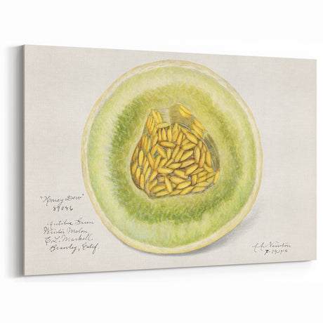 Honeydew Melon Fruits Wall Art – Fruit Canvas Art for Kitchen Decor