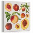 Peach Fruits Wall Art – Fruit Canvas Art for Kitchen Fruit Decor