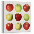 Apple Fruit Canvas Art – Fruits Wall Art for Kitchen Decor