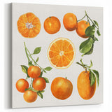 Orange Fruit Art Prints – Kitchen Fruit Decor for Modern Spaces