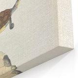 Vintage Animal Art – Baska Terrapin Turtle Illustration Print