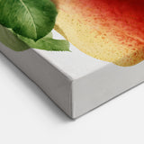 Pear Fruit Paintings – Fruit Botanical Prints for Kitchen Decor