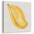Mango Fruit Art Prints – Kitchen Fruit Decor for Tropical Spaces