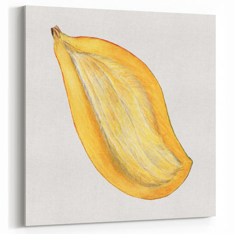 Mango Fruit Art Prints – Kitchen Fruit Decor for Tropical Spaces