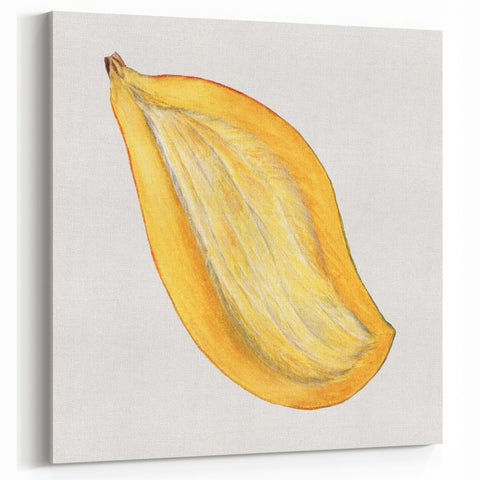 Mango Fruit Art Prints – Kitchen Fruit Decor for Tropical Spaces