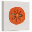 Persimmon Fruit Art Prints – Kitchen Fruit Wall Decor