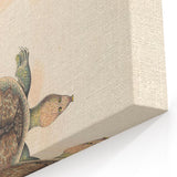 Vintage Animal Art – Flat Trionyx Turtle Illustration Print