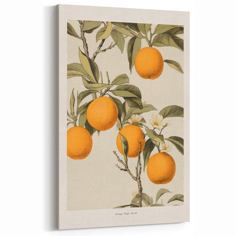 Vintage Botanical Orange Tree Print – Retro Citrus Wall Art
