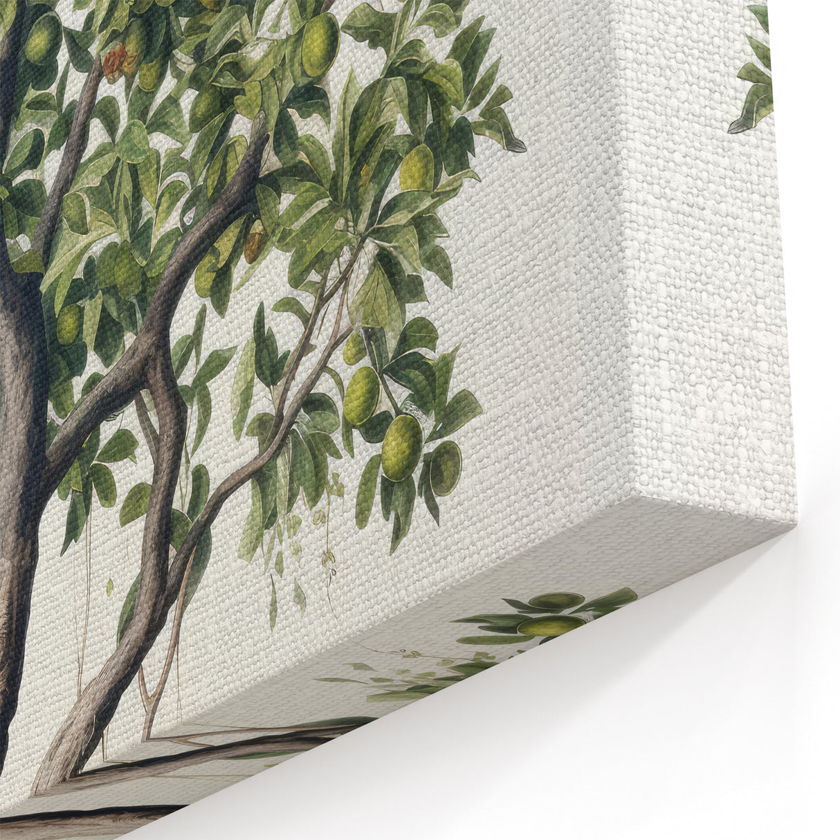 Vintage Botanical Fruit Tree Print – Classic Nature Wall Art
