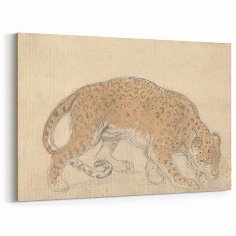 Vintage Animal Art – Leopard Sketch Illustration Wall Print