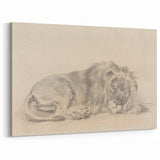 Vintage Animal Art – Lion Sketch Illustration Wall Print