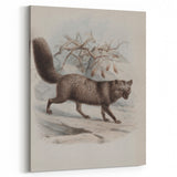 Vintage Fox Illustration – Classic Animal Wall Art Print