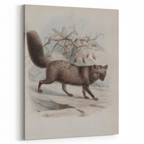 Vintage Fox Illustration – Classic Animal Wall Art Print