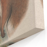 Vintage Wallaby Illustration – Classic Wildlife Art Print