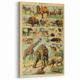 Vintage Animal Art: Retro Wildlife Mammals Illustration Print