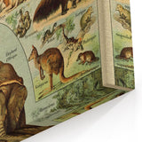 Vintage Animal Art: Retro Wildlife Mammals Illustration Print