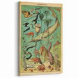 Vintage Animal Art: Deep-Sea Oceanography Marine Life Illustration