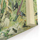 Vintage Animal Art: Retro Birds & Parrots Illustration Print