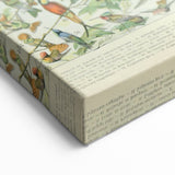 Vintage Animal Art: Birds of Paradise & Exotic Hummingbirds Print