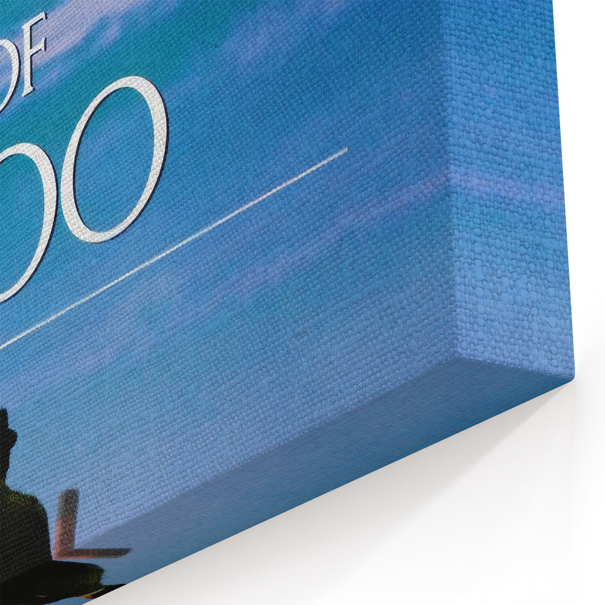 1990s Vintage Movie Poster – The Legend of 1900 Classic 90s Film Art