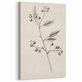 Winter Art Prints – Elegant Botanical Sketch Black and White Decor