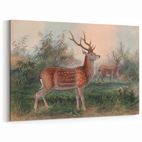 Vintage Animal Art: Retro Deer Illustration for Nature Decor
