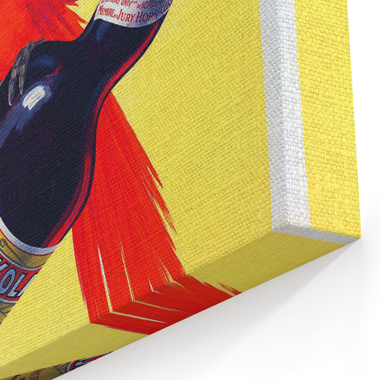 Vintage Advertising Poster - Toni-Kola Parrot Retro Wall Art