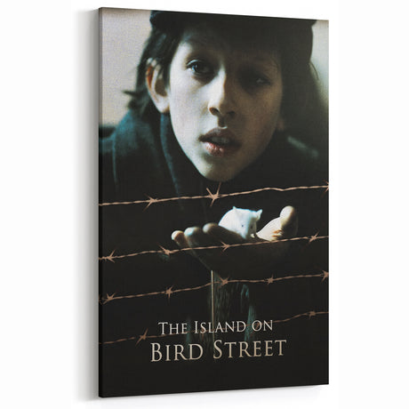 1990s Vintage Movie Poster – The Island on Bird Street Classic 90s Art
