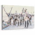 Snowy Landscape Wall Art – Majestic Reindeer Winter Canvas Art