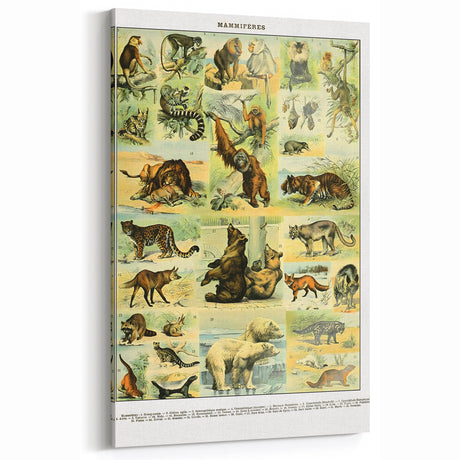 Vintage Animal Art - Handcrafted Illustration Art Prints for Home Decor