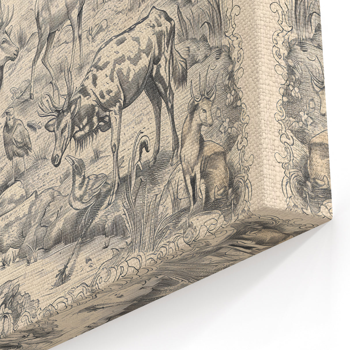 Wildlife Animals Illustration Art Print – Nature-Inspired Wall Decor