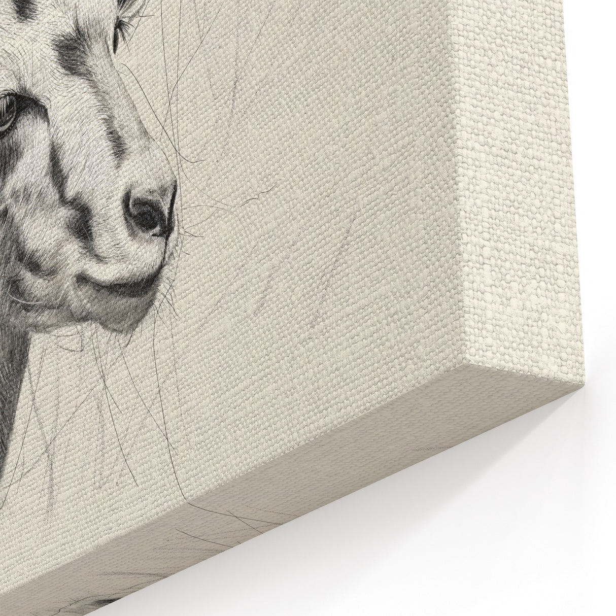 Antelope Illustration Art Print – Detailed Nature-Inspired Decor